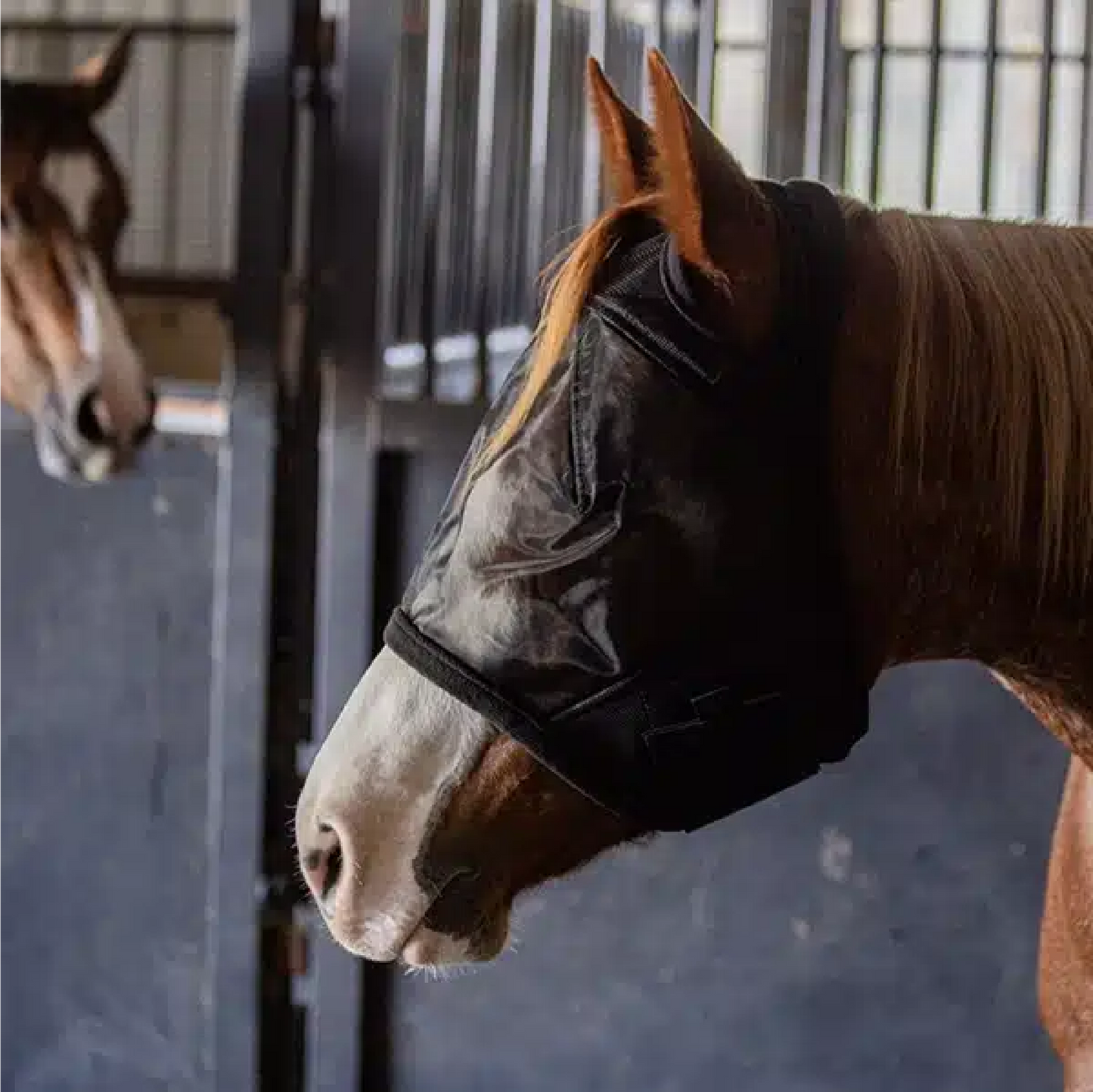 Fly Free - Fly Mask